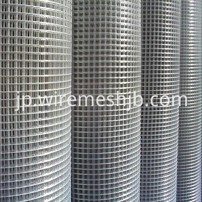 Welded wire netting